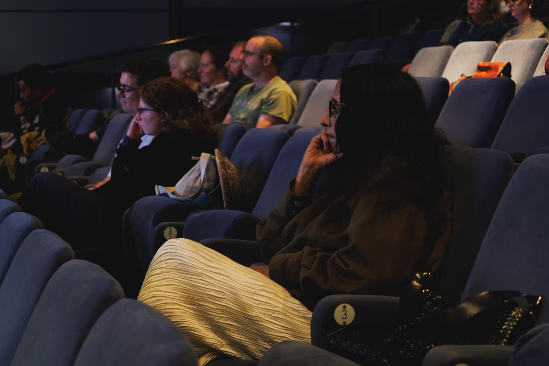 The audience watching the Watch Africa screening, Chapter Arts Centre, Cardiff